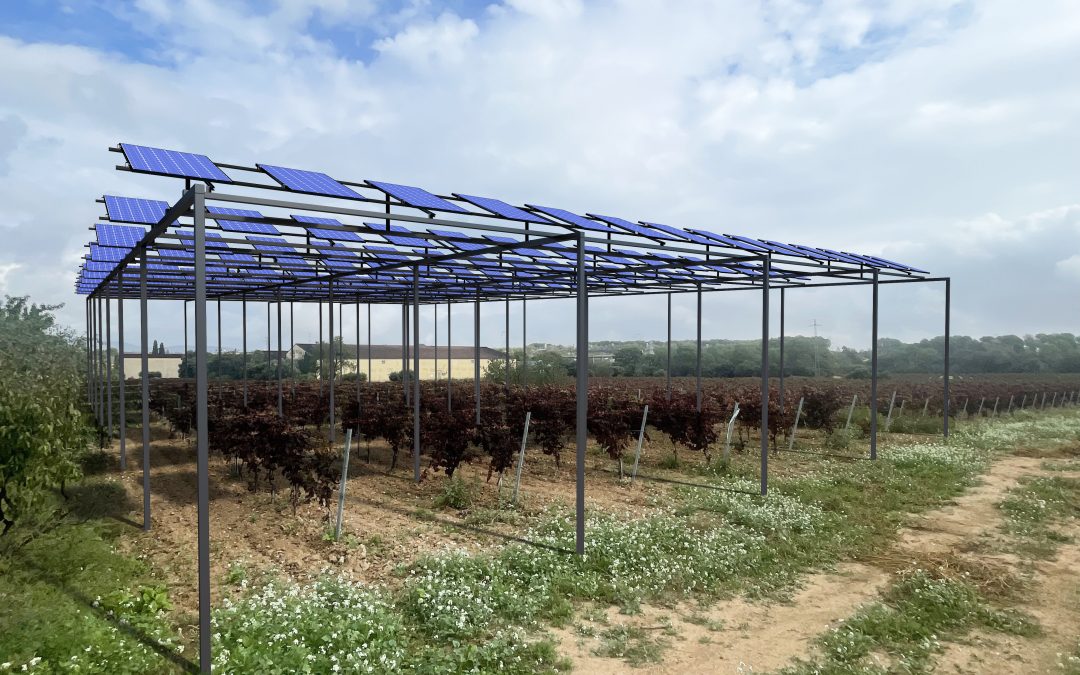SOLARWINE, un proyecto que une la energía fotovoltaica y la agricultura 4.0 para impulsar la producción vitícola sostenible