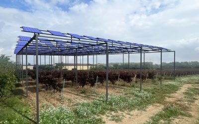 SOLARWINE, un proyecto que une la energía fotovoltaica y la agricultura 4.0 para impulsar la producción vitícola sostenible