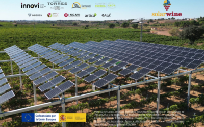 GO SOLARWINE avanza en la monitorización de sus pilotos agrovoltaicos para evaluar su impacto en el viñedo